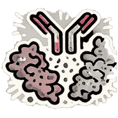 Structural immunology icon
