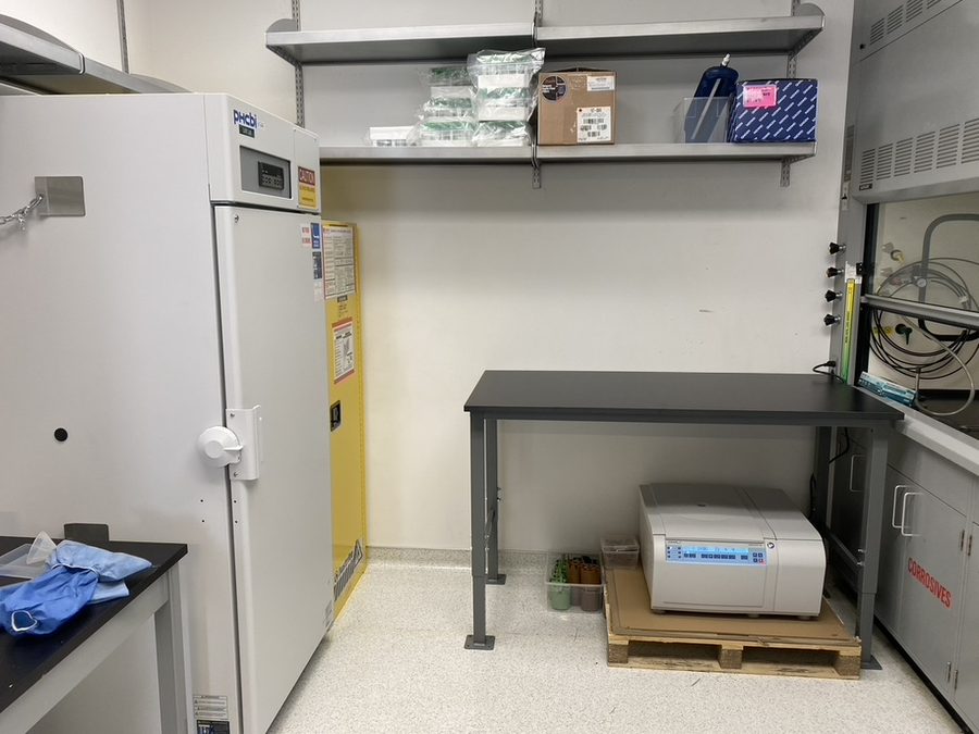 The same room afterwards, fitted out with freezers, bench, and equipment