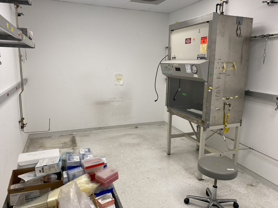 The tissue culture room before the build-out, with one old hood and boxes on the floor