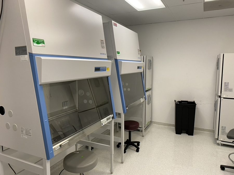 The same room afterwards, with two newly installed tissue culture hoods