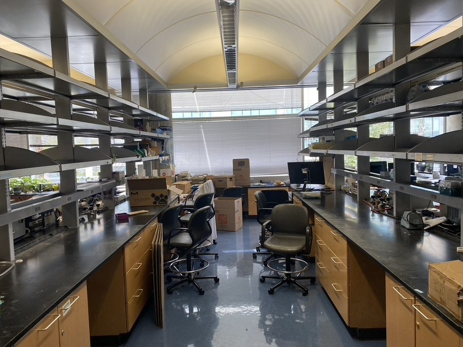 The finished lab bench space
